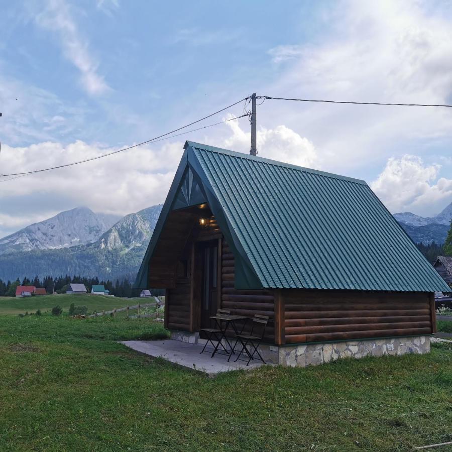 Bosaca Villa Zabljak  Luaran gambar