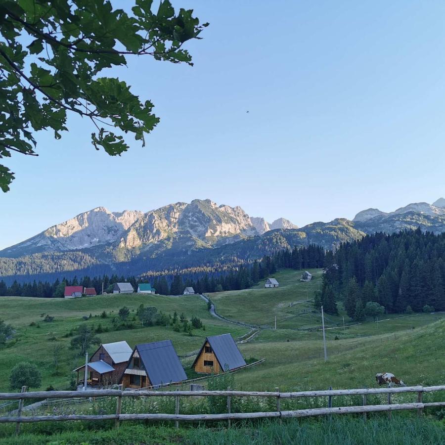 Bosaca Villa Zabljak  Luaran gambar
