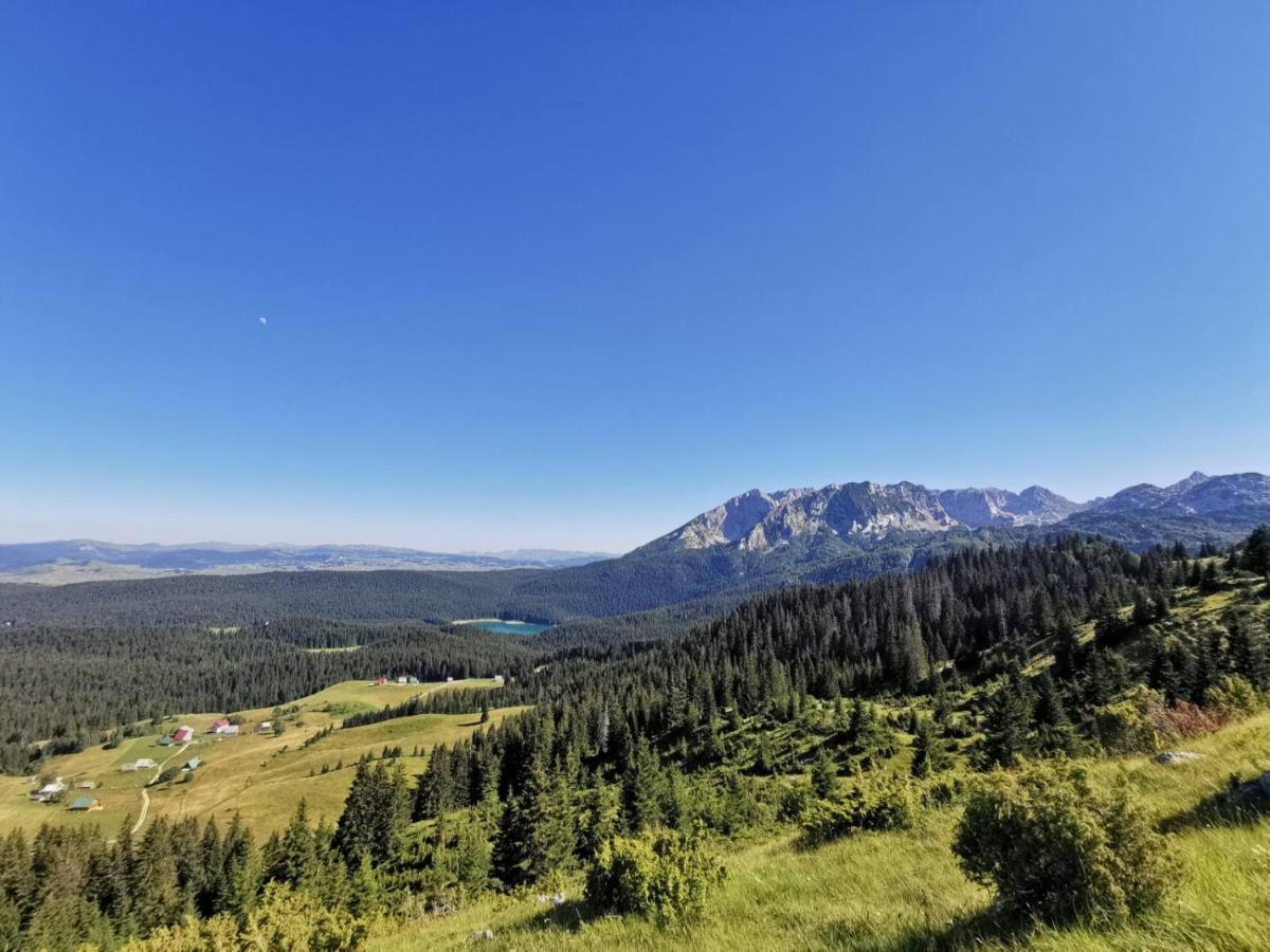 Bosaca Villa Zabljak  Luaran gambar