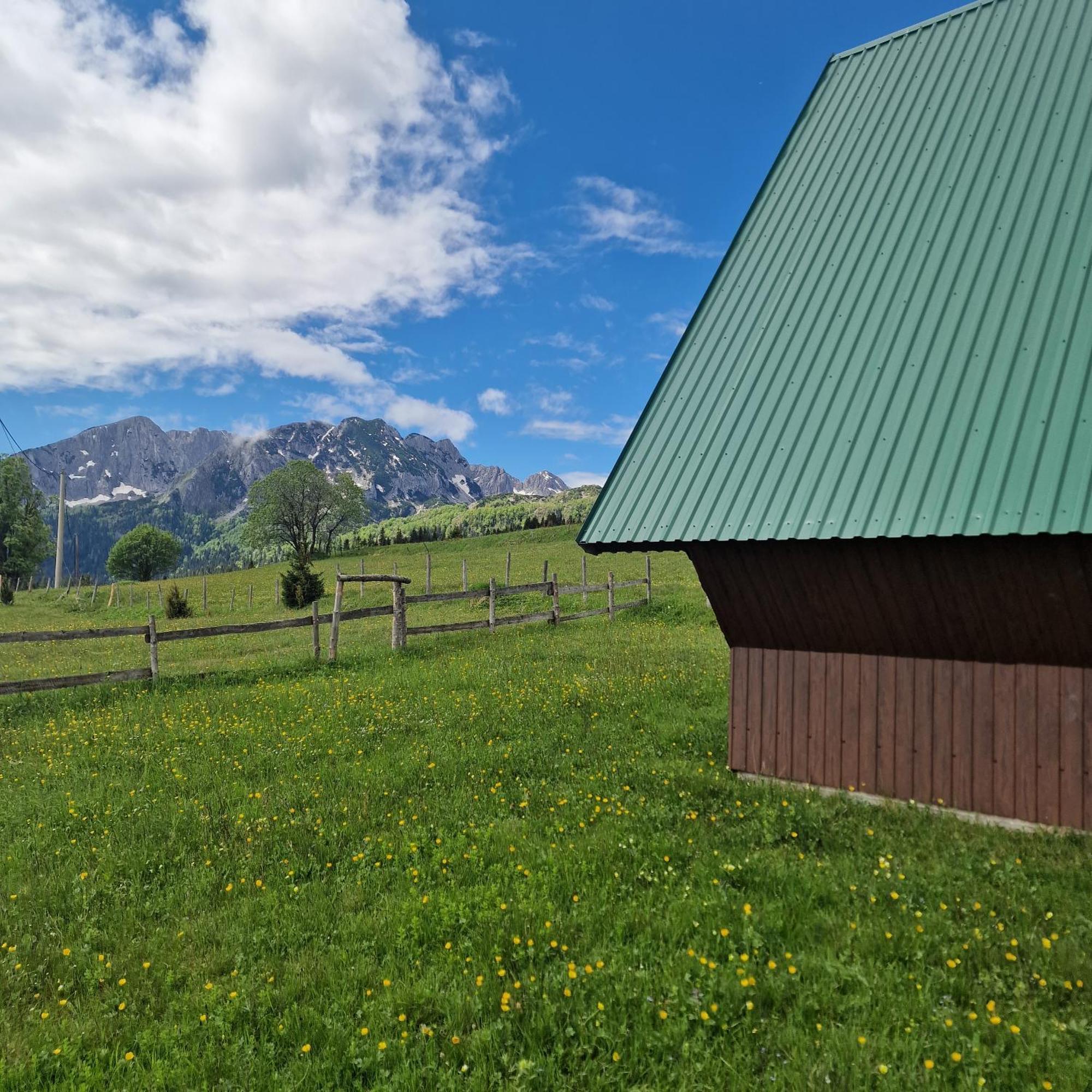 Bosaca Villa Zabljak  Luaran gambar